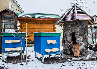 Центр научного пчеловодства