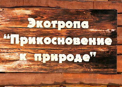 На территории заказника «Озёры» создана уникальная сенсорная тропа